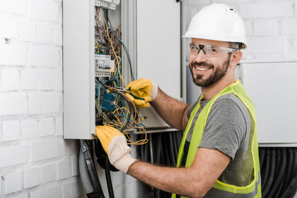 Best Electrical System Inspection  in Osceola, AR